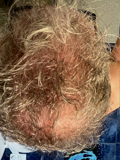 Day 60